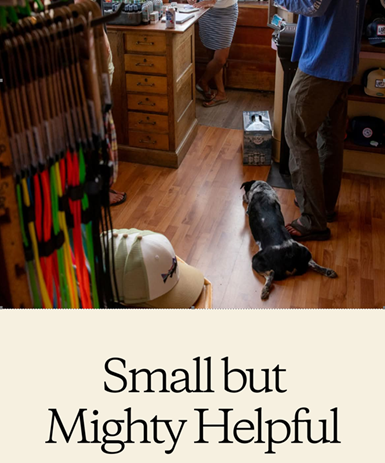 PYMES: Pequeñas pero muy útiles y necesarias